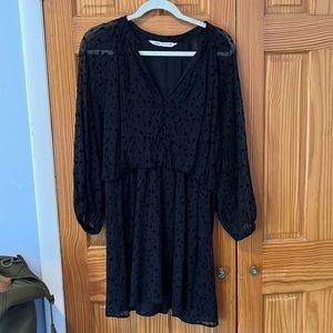 Zara velvet detail dress